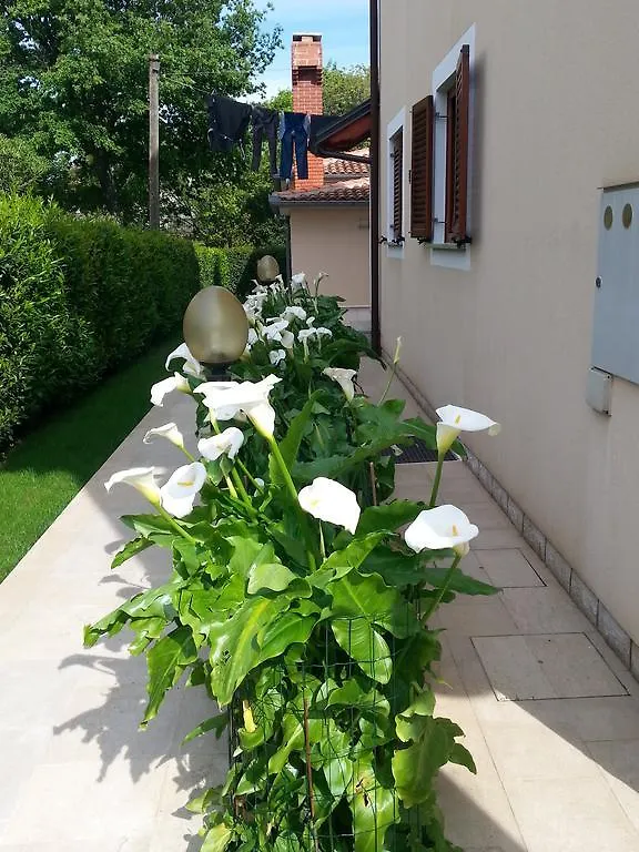 *** Guest house Ulika Rooms & Apartments Porec Croatia