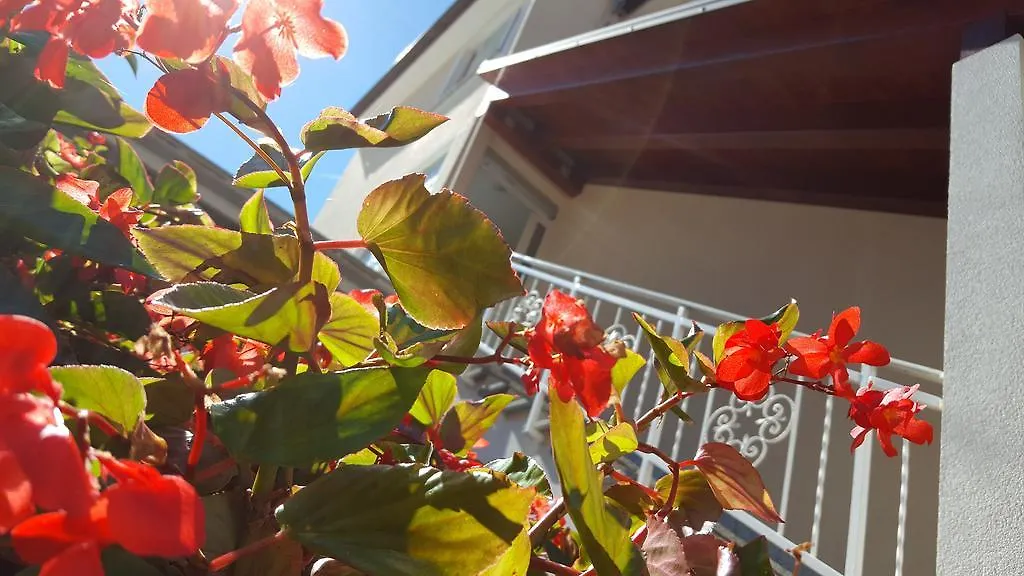 Ulika Rooms & Apartments Porec Guest house
